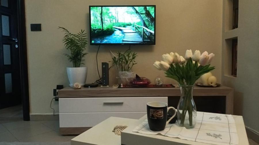Bora Albania Me Vetsherbim 24 Prane Liqenit Apartment Tirana
